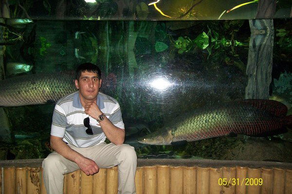 Ватанбек Абдулфайзов