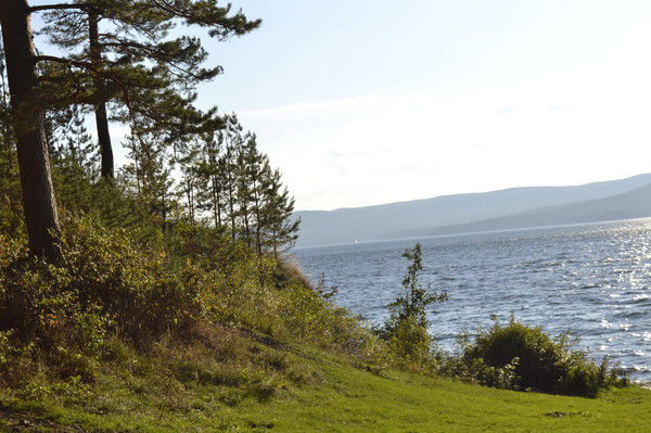 Елена Роженцова