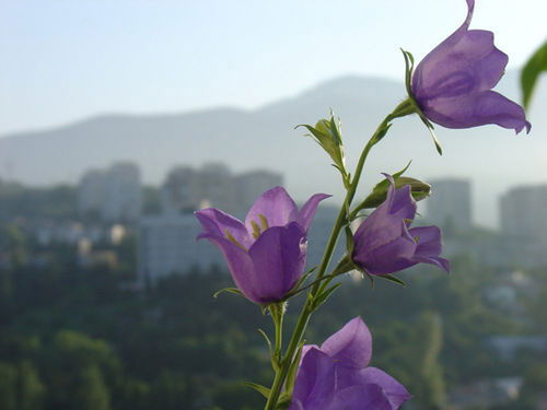 Жанна Валькеева