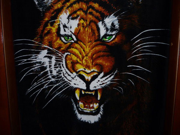 Олег Шакуло