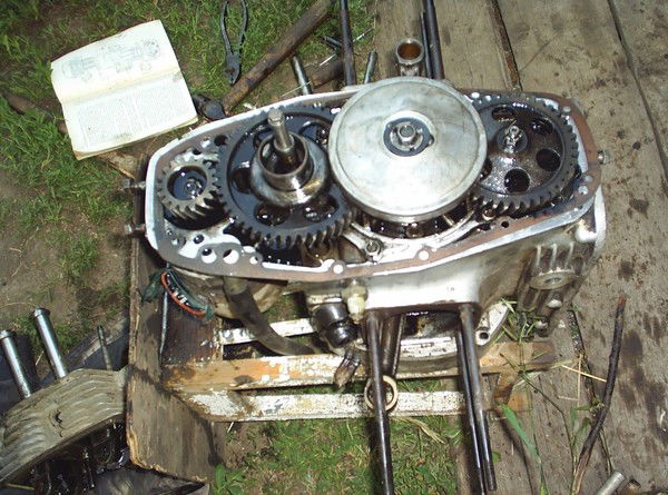 Андрей Приходченко