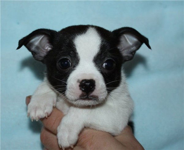 Зарина Кандаева