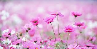 Гульдана Арыстанова