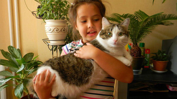 Андрей Стародубов