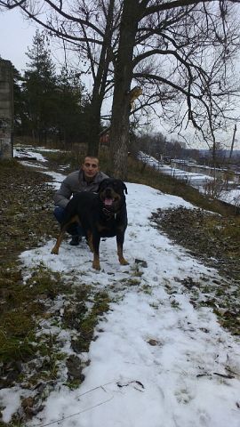 Денис Старовойтов