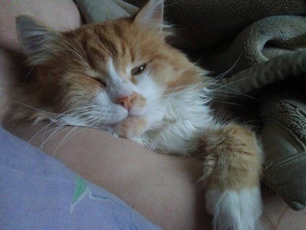 Юрий Викторович