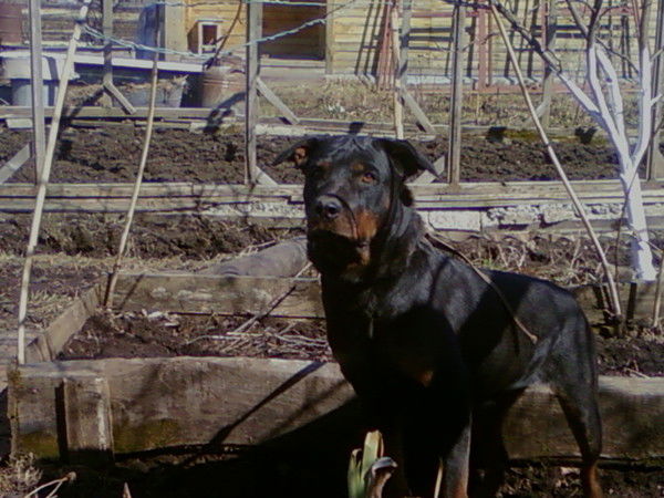 Света Бусыгина