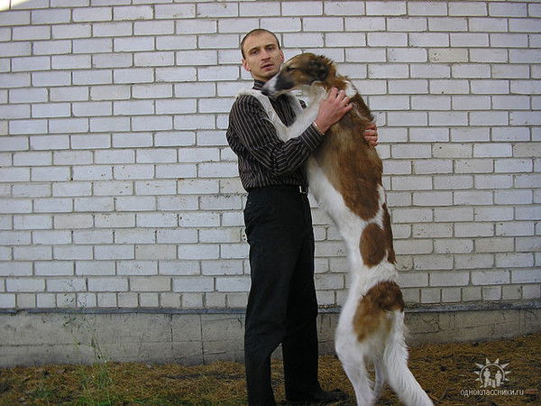 Алексей Салов