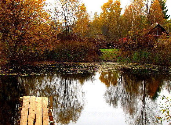 Вера Никитина