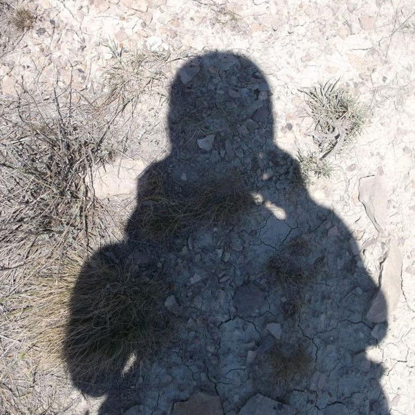 Анастасия Евтухова