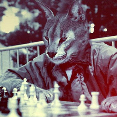 Богдан Трофименко