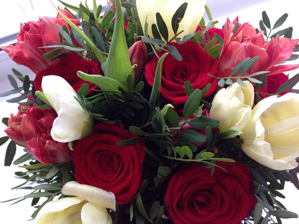 Света Фомина