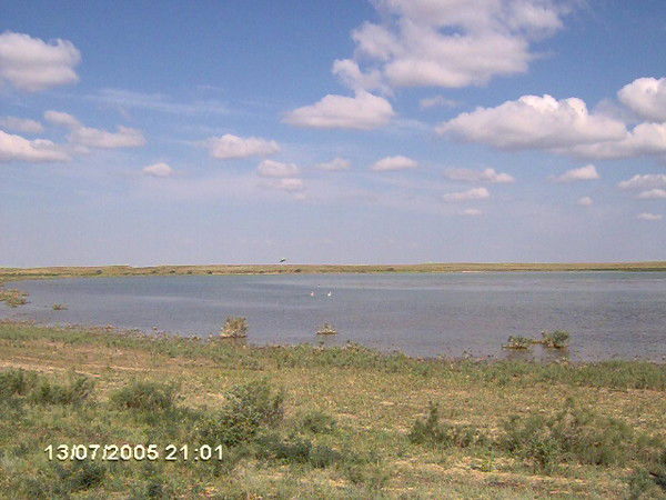 Жеткербай Кайдасов