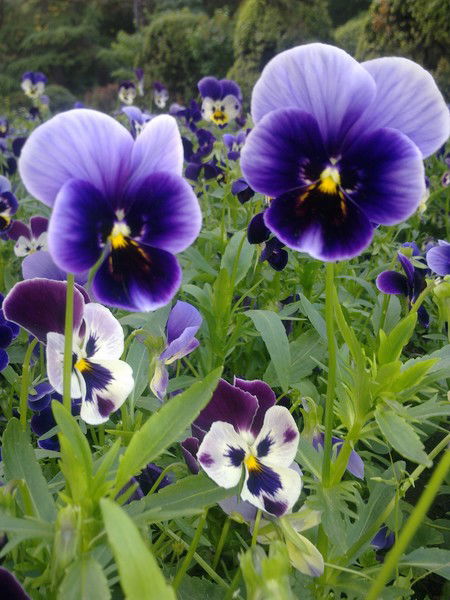 Лариса Козлова