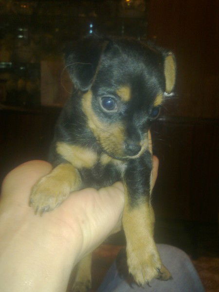 Павел Найденов