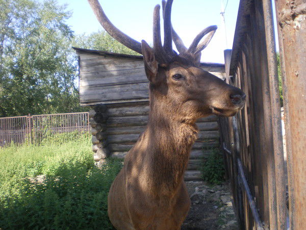 Любовь Любовь