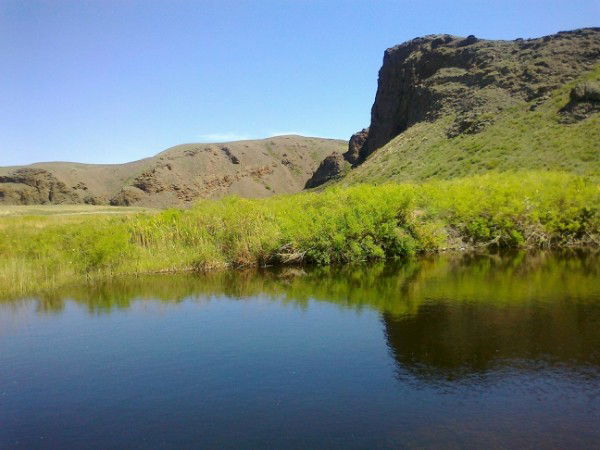 Едильхан Демесинов