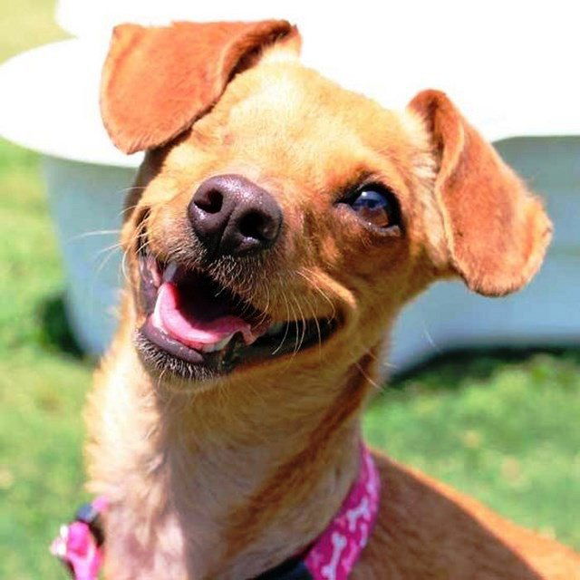 Вадим Михайлович