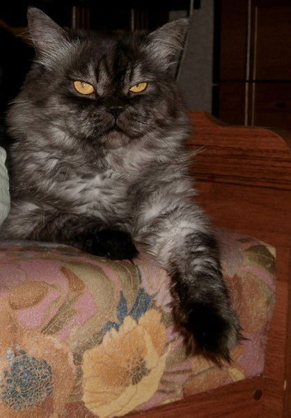 Людмила Данилюк