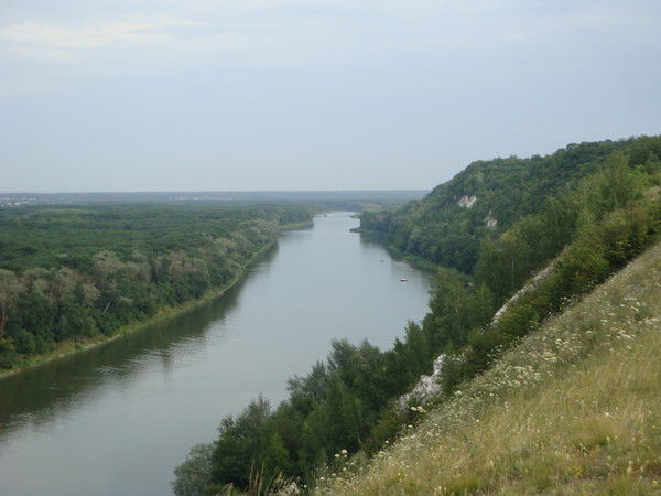 Владимир Никишов