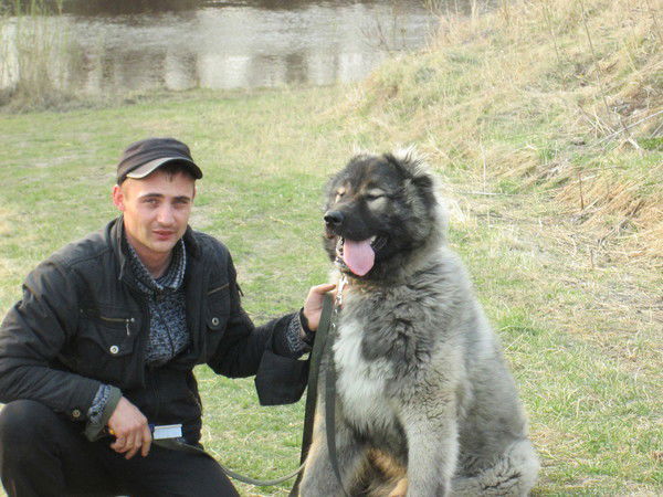 Иван Дороненко