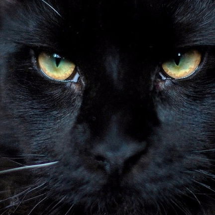 Наталья Александрова