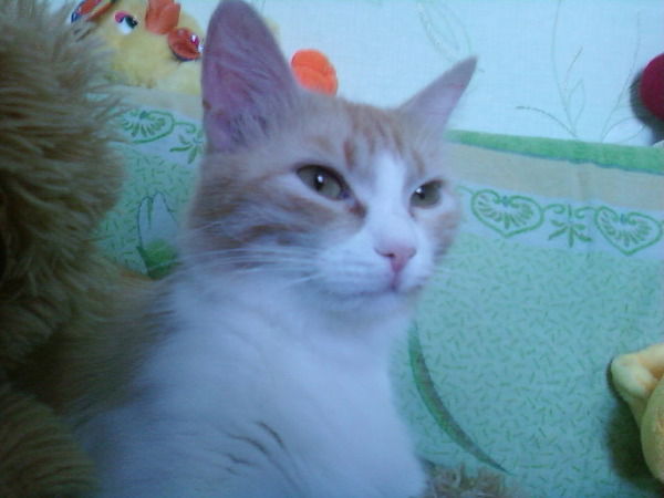 Наталья Евсеева