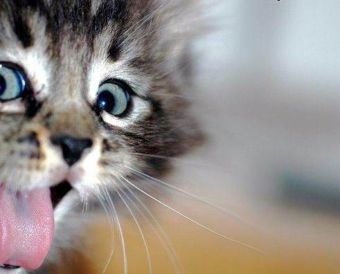 Неизвестно Неизвестно