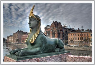 Сергей Шеин