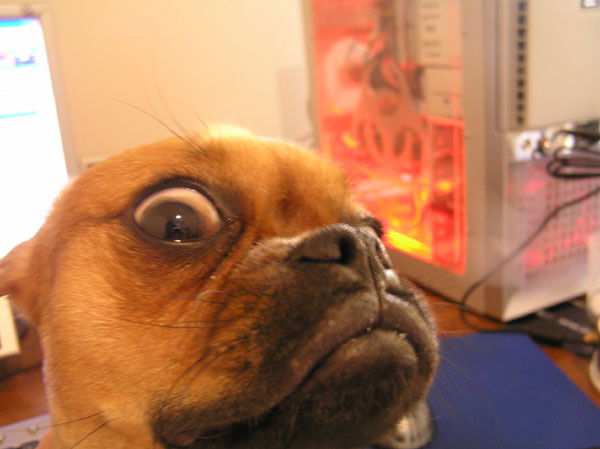 Павел Алексеевич