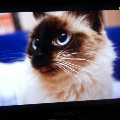 Костя Абдулин