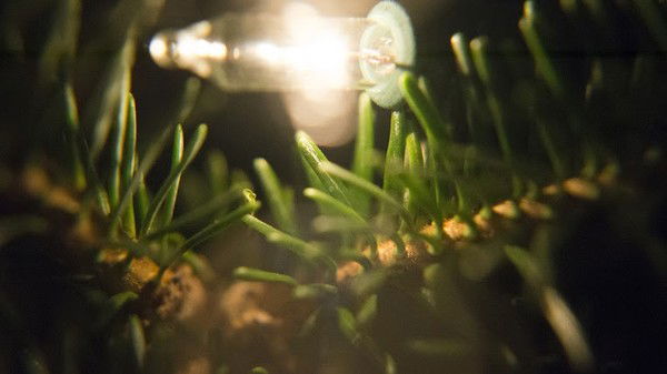 Ирина Нескажу