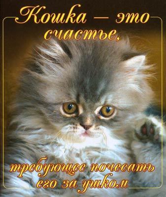 Екатерина Журавлева