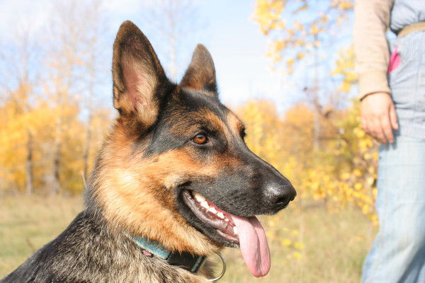 Надежда Кондратьева