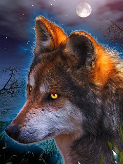 Рифон Шаймарданов