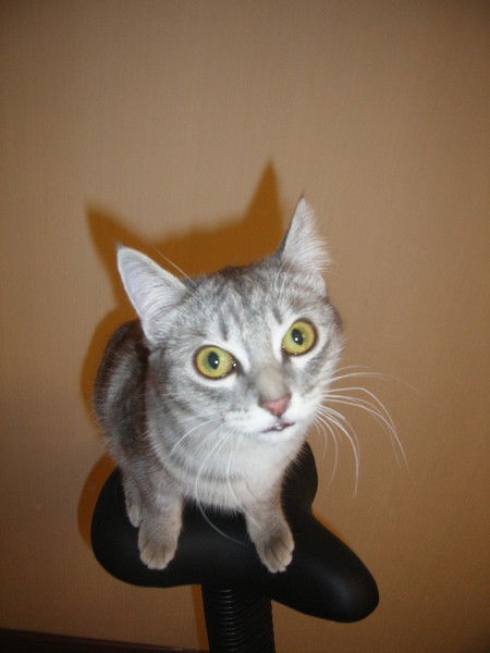 Оченева Лизавета