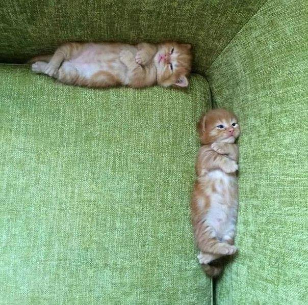 Сауле Шаймергенова