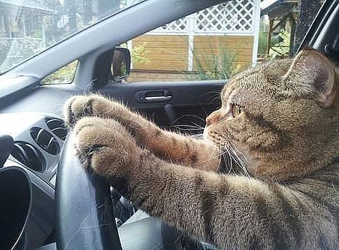 Игорь Ткаченко