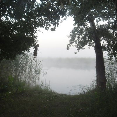 Юлия Володина