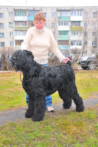 Ирина Теснова