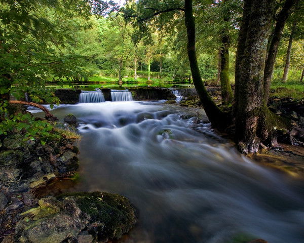 Любовь Федорова