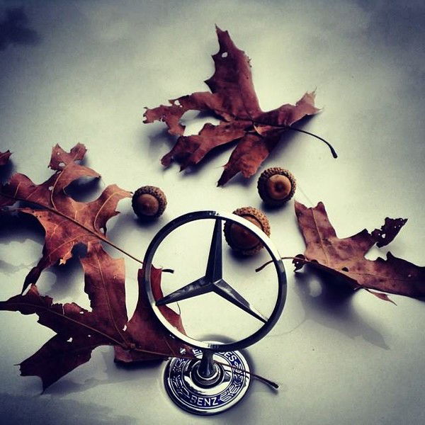 Султан Масимов