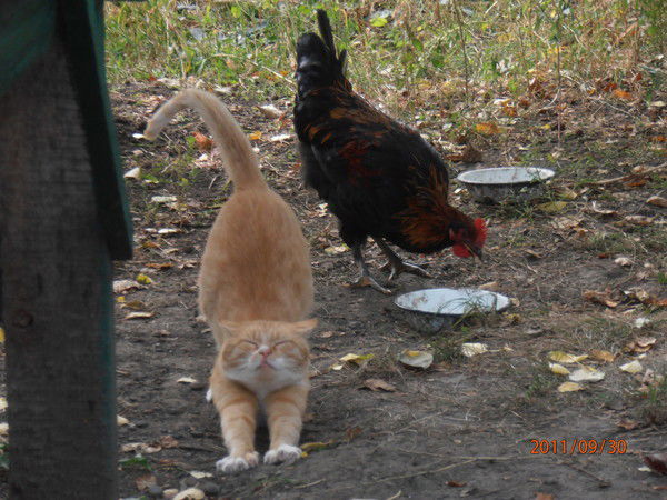 Александр М