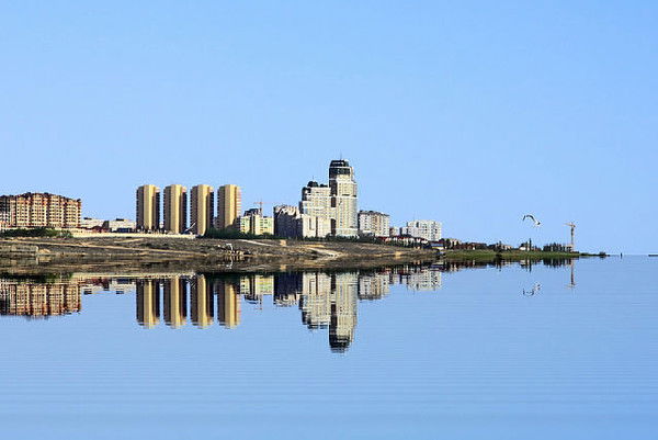 Катерина Фатеева