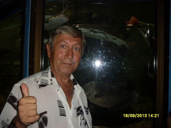 Владимир Череватенко