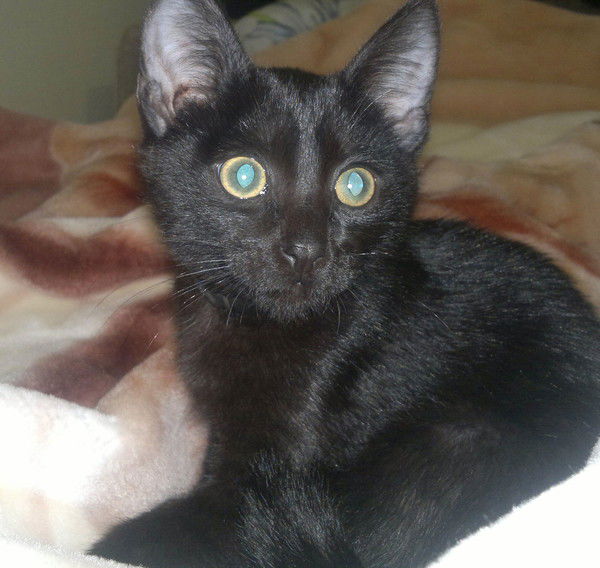 Айназ Камалутдинова