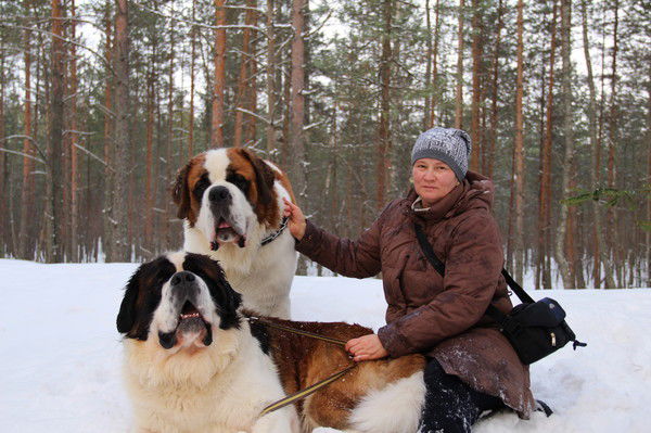 Татьяна Шаршутина