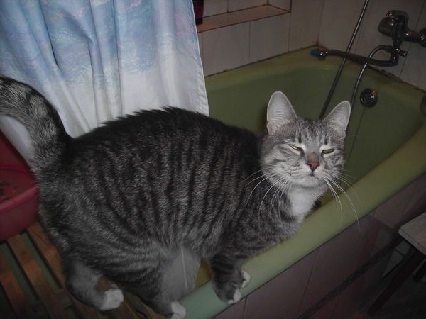 Светлана Славянская