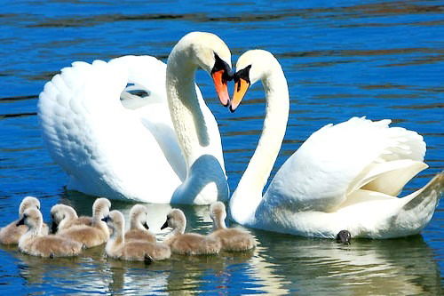 Клара Рамазановна