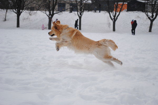 Александр Осипов